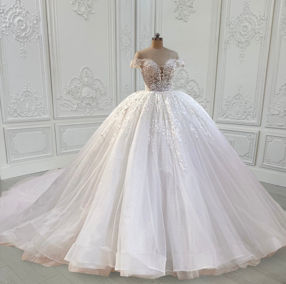 TBC-CM16 Custom-made lace embroidered off the shoulder with Deep V ballgown wedding dress