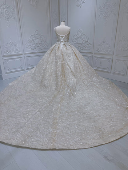 Stock Clearance! Bridal Size 10! Champagne color luxury beading square neck sparkling princess ballgown royal wedding dress