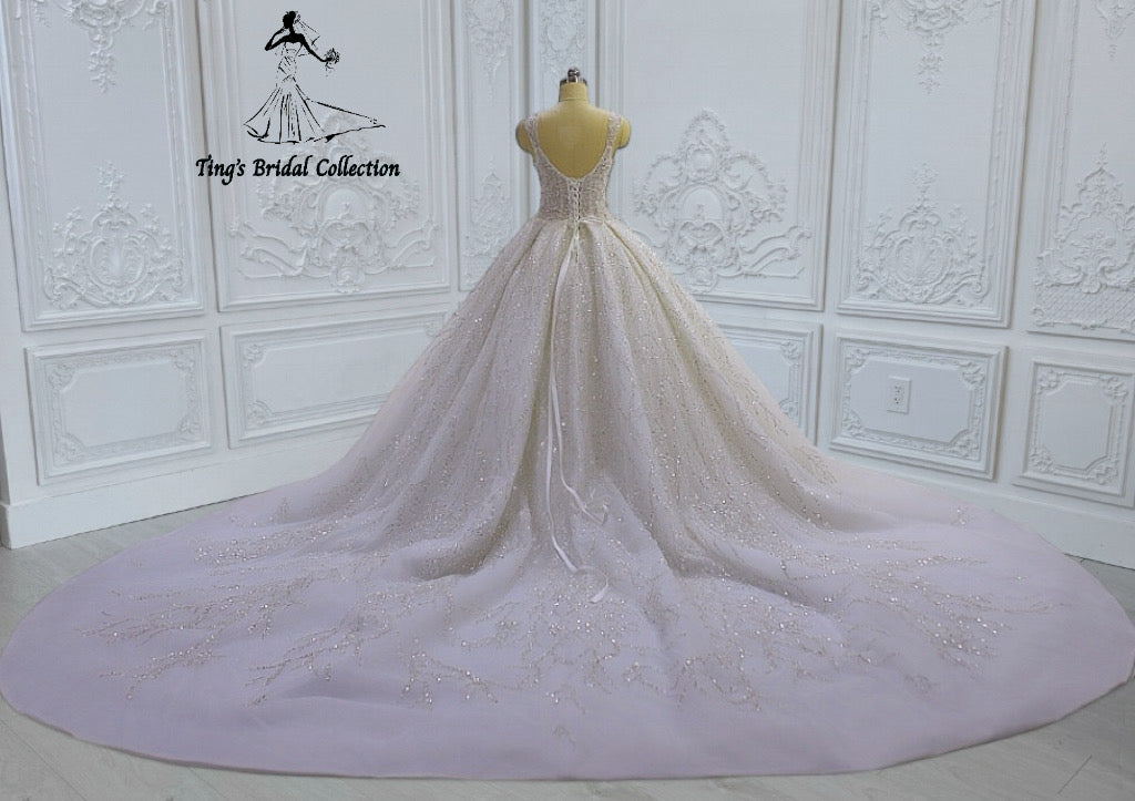 TBC-CM43 Custom-made beading lace embroidered strapped princess ballgown sparkling wedding dress