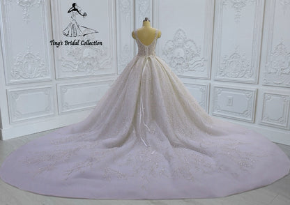 TBC-CM43 Custom-made beading lace embroidered strapped princess ballgown sparkling wedding dress